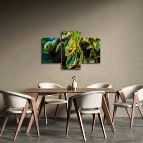 Tablou cu cameleon (90x60 cm)