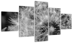 Tablou - mulțime de păpădii (125x70 cm), în 40 de alte dimensiuni noi