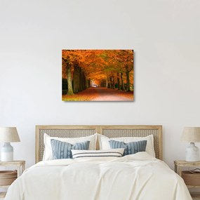 Tablou pe sticlă - Bulevardul de copaci în toamnă (70x50 cm)