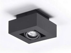 Spot aplicat directionabil de tavan/plafon NIKEA 1 GU10 negru