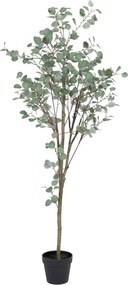 Eucalipt artificial (înălțime 180 cm) Eucalyptus – Ixia