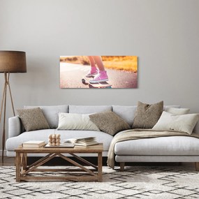 Tablou cu scateboard (120x50 cm)