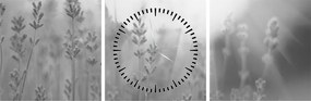 Tablou - Lavanda (cu ceas) (90x30 cm)