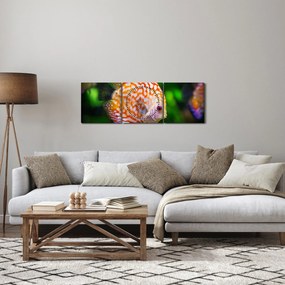 Tablou cu pește (cu ceas) (90x30 cm)