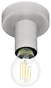 Plafonieră Eglo 64106 IGUALA 1xE27/40W/230V gri