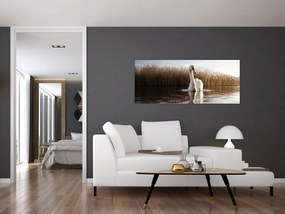 Tablou cu lebăda (120x50 cm)