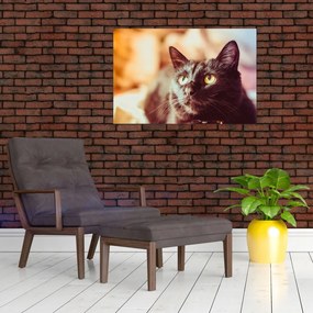 Tablou pisica neagră (90x60 cm)