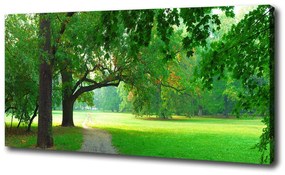 Print pe canvas Park din toamna