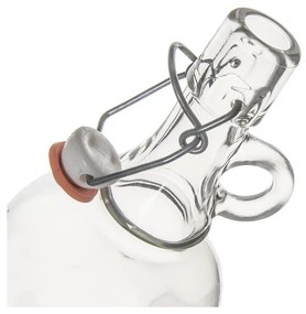 Damigeană 1 l – Orion