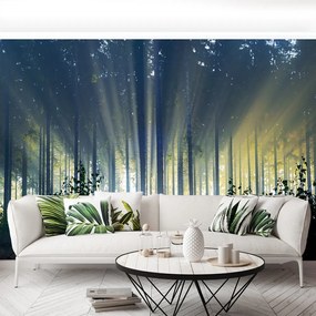 Fototapet molid Forest