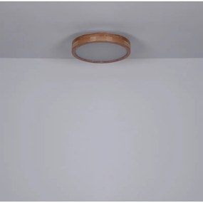 Plafoniera LED dimabila cu telecomanda design modern RAINER 41745-24 GL
