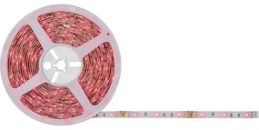 Bandă dimabilă LED RGB/26W Paulmann 78979 SIMPLED 7,5m 230V + telecomandă