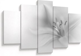Tablou - Crin delicat (150x105 cm)