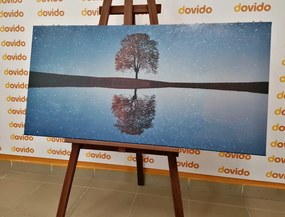 Tablou cer înstelat deasupra unui copac singuratic