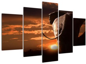 Tablou cu elefant (150x105 cm)