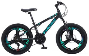 Bicicleta Fulger by Caraiman, roti 20 inch, cadru otel, frane pe disc, negru cu verde, BC82