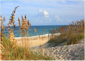 Tablou - Plajă (70x50 cm)