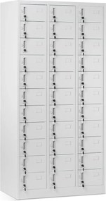 Dulap pentru păstrarea valorilor Oliver gri