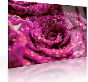 Tablou pe sticlă cu floarea trandafirului roz (70x50 cm)