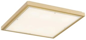 Plafonieră CARLSON 2xE27/15W/230V 29x29 cm Argon 7167