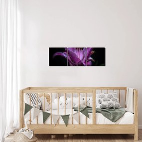 Tablou crinul (cu ceas) (90x30 cm)