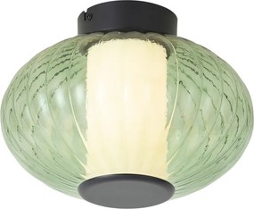 Plafonieră de design neagră 28 cm cu sticlă verde cu LED integrat reglabilă în 3 trepte - Margherite