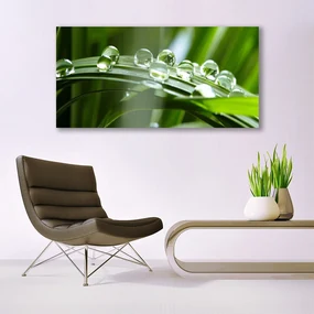 Tablou pe panza canvas Iarbă Picături de rouă Floral Verde