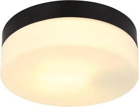 Plafoniera pentru exterior design modern IP44 Vranos negru, opal