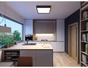 Plafonieră LED LED2 MILO LED/30W/230V neagră 3000/4000K