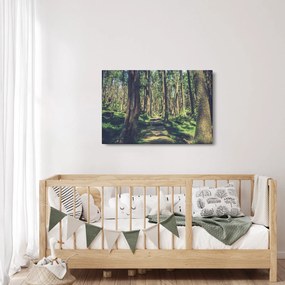 Tablou cu drum între copaci (90x60 cm)