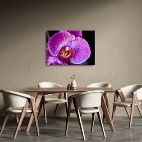 Tablou pe sticlă detailat cu floare de orhidee (70x50 cm)
