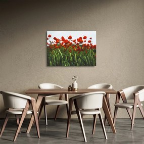 Tablou pe sticlă - Maci în vânt (70x50 cm)