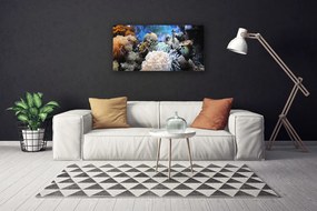 Tablou pe panza canvas Coral Reef Natura Gri Alb Galben