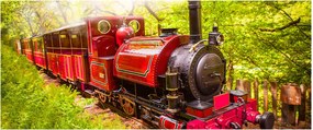 Tablou - Tren cu aburi (120x50 cm)