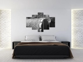 Tablou - Picior de elefant (150x105 cm)