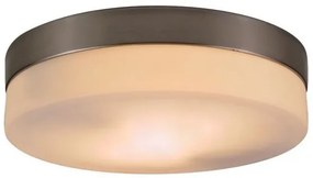 Aplica, Plafonier diametru 24cm Opal 48402 GL