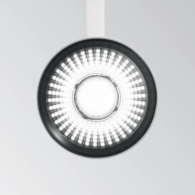 Spot LED directionabil pentru sina Link, FOX 15W CRI80 41° 3000K BK 250427 IDL