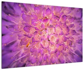 Tablou detailat cu floare (90x60 cm)