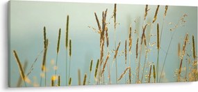 Tablou - Luncă (120x50 cm)