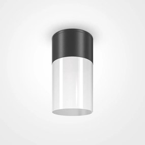 Spot aplicat, plafoniera pentru iluminat exterior IP54 Willis negru