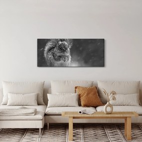 Tablou - Veveriță în timpul iernii (120x50 cm)