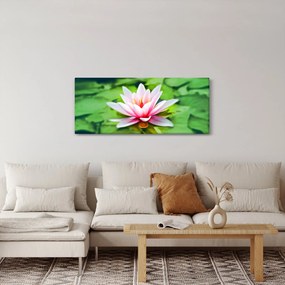 Tablou - Nuferi pe apă (120x50 cm)