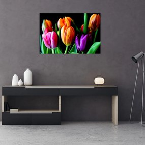 Tablou -Lalele pe fond negru (90x60 cm)