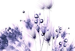 Fototapet - Flori (254x184 cm)