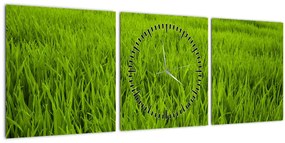 Tablou cu iaraba (cu ceas) (90x30 cm)