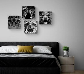 Set tablouri animale în design alb-negru de stil pop art