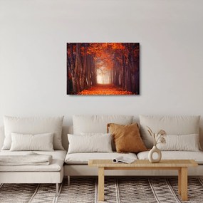 Tablou pe sticlă - Pădurea de toamnă (70x50 cm)