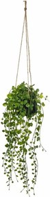 Planta artificiala agatata Peperomia, Ø 18 x 62 cm