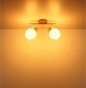 Globo 54662-2 - Lampă spot EILEEN 2xE27/40W/230V