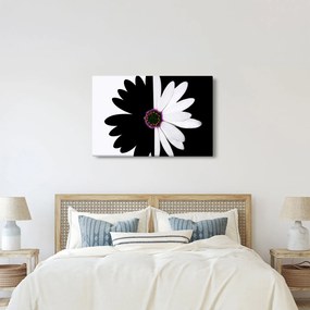 Tablou - Floare, alb- negru (90x60 cm)